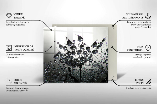 Tűzhelyvédő üveglap Pitypang és harmat