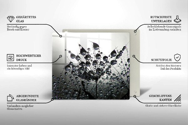 Tűzhelyvédő üveglap Pitypang és harmat