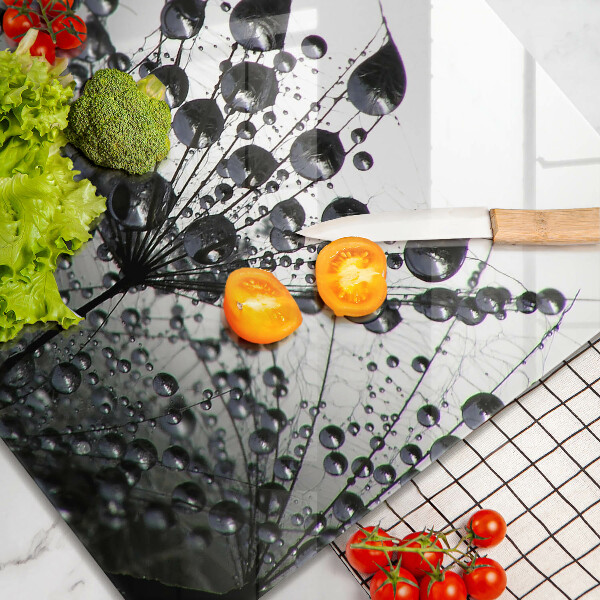 Tűzhelyvédő üveglap Pitypang és harmat