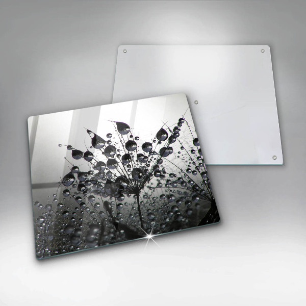 Tűzhelyvédő üveglap Pitypang és harmat