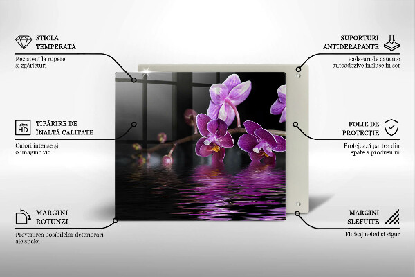 Tűzhelyvédő üveglap Orchidea zen víz