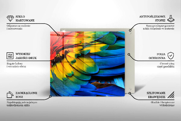 Tűzhelyvédő üveglap Színes papagáj toll