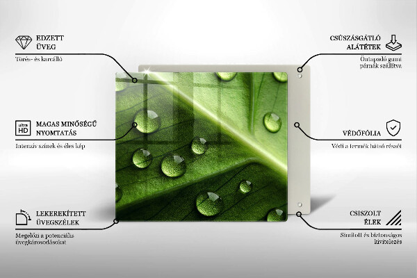 Tűzhelyvédő üveglap Természet harmat és levél