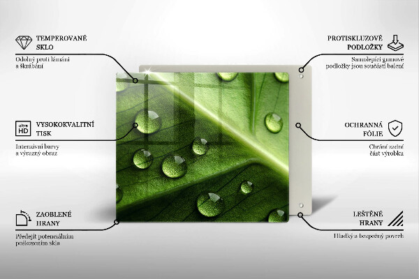 Tűzhelyvédő üveglap Természet harmat és levél