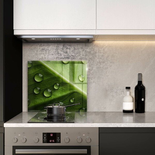 Tűzhelyvédő üveglap Természet harmat és levél