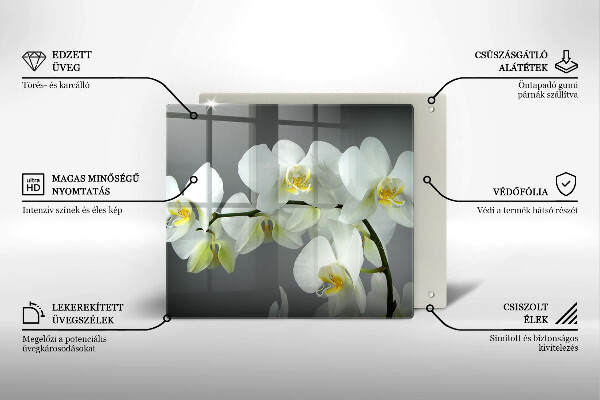 Tűzhelyvédő üveglap Fehér orchidea virágok