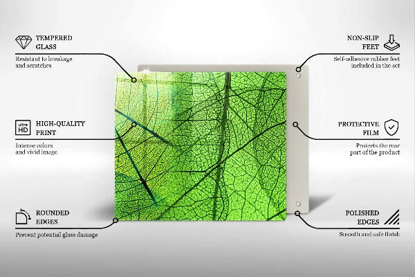 Tűzhelyvédő üveglap Természetes levélerek