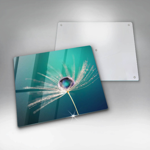 Tűzhelyvédő üveglap Harmat a pitypangon