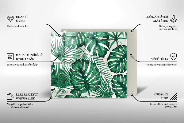 Tűzhelyvédő üveglap Monstera levelek