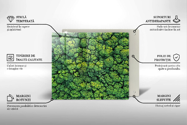 Tűzhelyvédő üveglap Természet moha növény