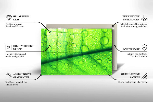 Tűzhelyvédő Közeli kép egy levélről