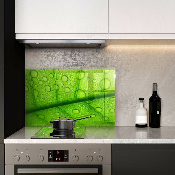 Tűzhelyvédő Közeli kép egy levélről