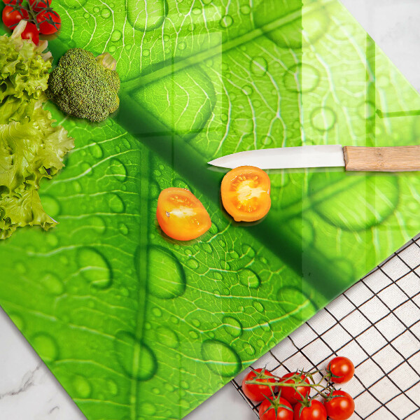 Tűzhelyvédő Közeli kép egy levélről