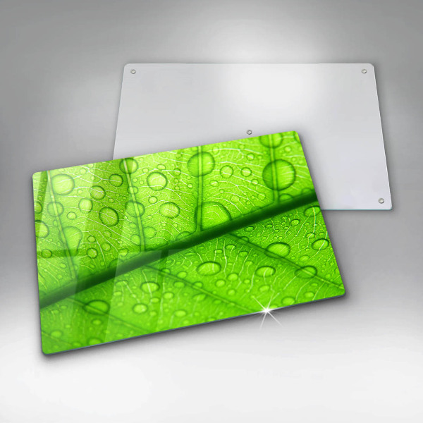 Tűzhelyvédő Közeli kép egy levélről