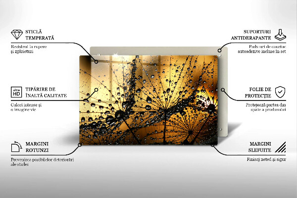 Tűzhelyvédő üveglap Harmat és pitypang