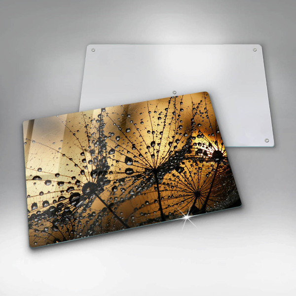 Tűzhelyvédő üveglap Harmat és pitypang