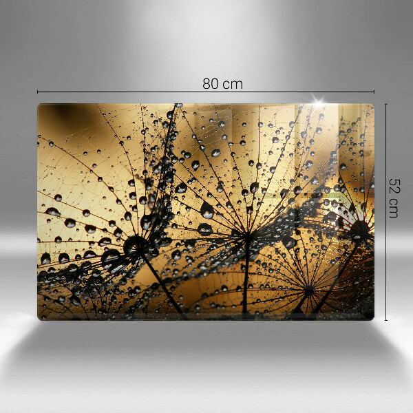 Tűzhelyvédő üveglap Harmat és pitypang