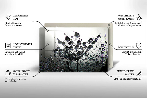 Tűzhelyvédő üveglap Pitypang és harmat