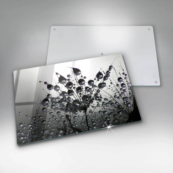 Tűzhelyvédő üveglap Pitypang és harmat