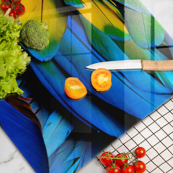 Főzőlap védő üveglap Színes papagáj toll