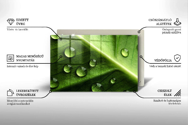 Tűzhelyvédő üveglap Természet harmat és levél