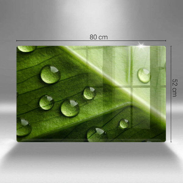 Tűzhelyvédő üveglap Természet harmat és levél