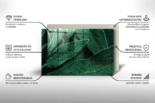 Főzőlap védő üveglap A növény levelei