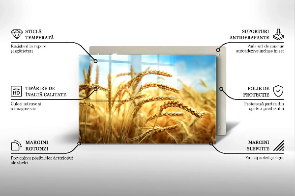 Tűzhelyvédő üveglap Kalász gabonafélék a területen