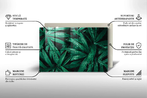 Tűzhelyvédő üveglap Növények levelei