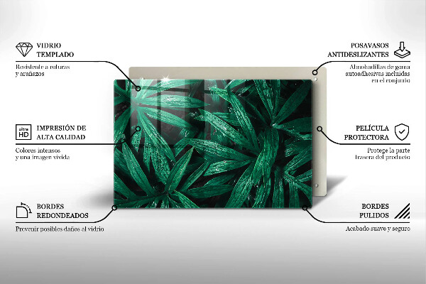 Tűzhelyvédő üveglap Növények levelei