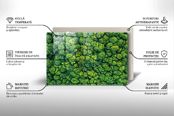 Főzőlap védő üveglap Természet moha növény