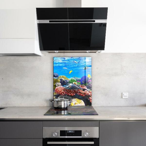 Konyhai panel Korallzátony vörös-tenger