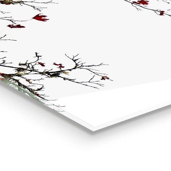 Konyhai hátfal panel Táj nyugalom