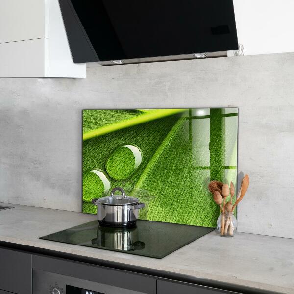 Konyhai panel Harmatcsepp a levélen