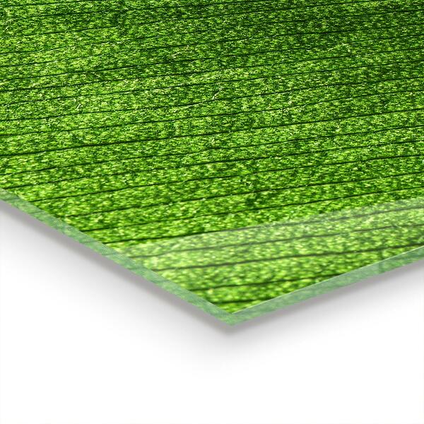 Konyhai panel Harmatcsepp a levélen