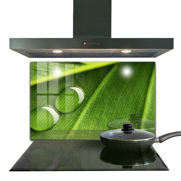 Konyhai panel Harmatcsepp a levélen