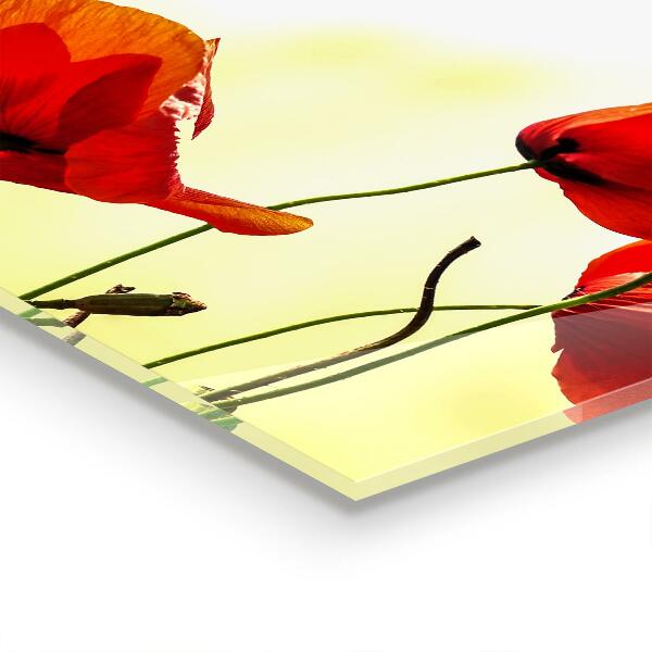 Konyhai fali panel Mezei rét piros pipacsokkal