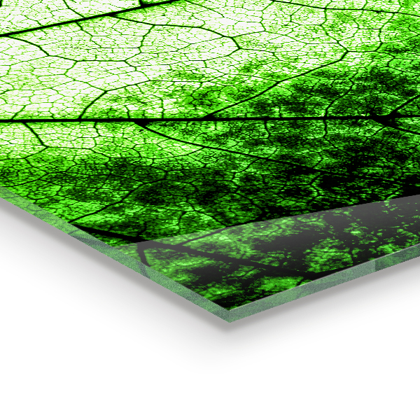 Konyhai fali panel Zöld levél textúra