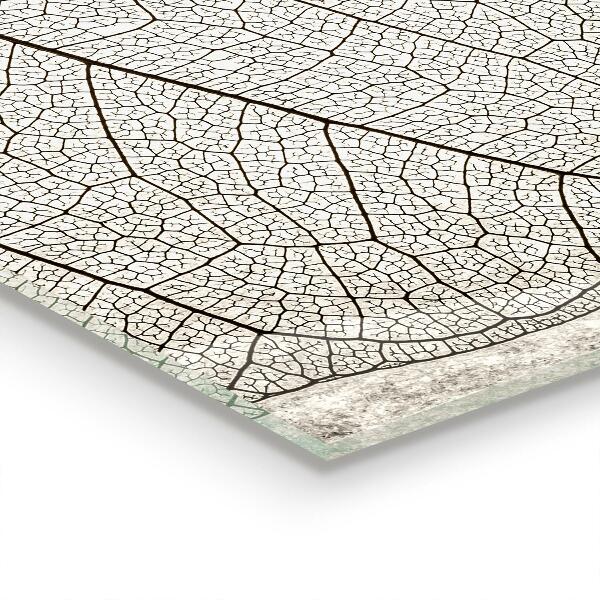 Konyhai fali panel Szépia levél textúra