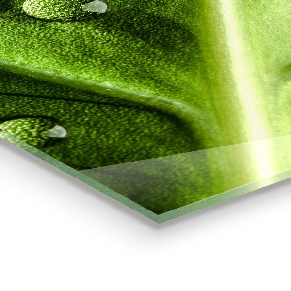 Konyhai fali panel Levél a reggeli harmat cseppjeivel