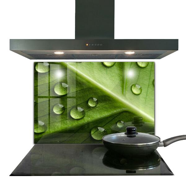 Konyhai fali panel Levél a reggeli harmat cseppjeivel