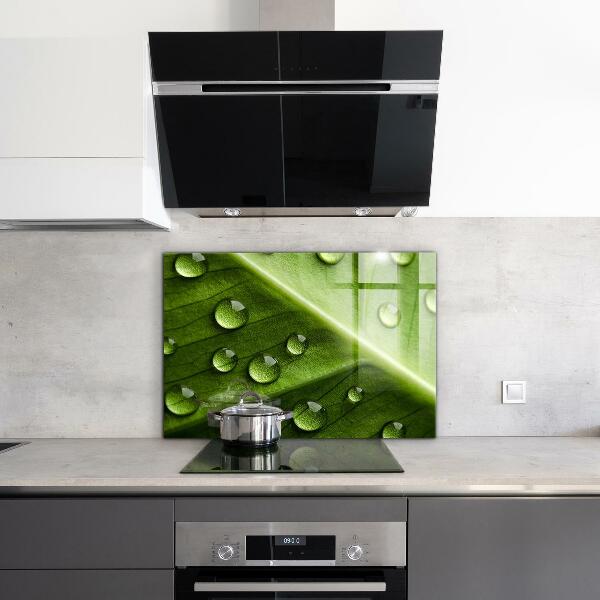 Konyhai fali panel Levél a reggeli harmat cseppjeivel