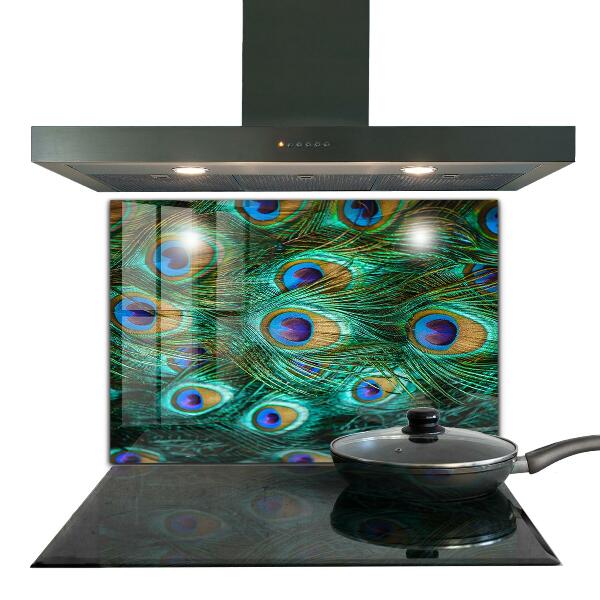 Konyhai panel Pávatollak gyönyörű természet