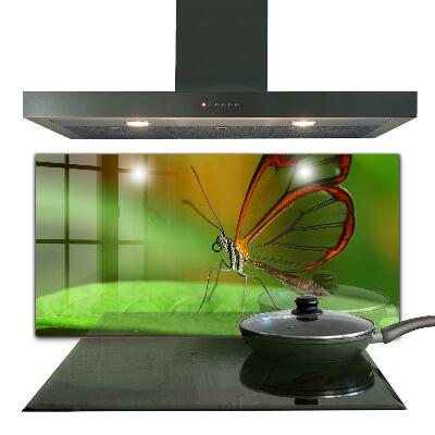 Konyhai panel Pillangó a levélen