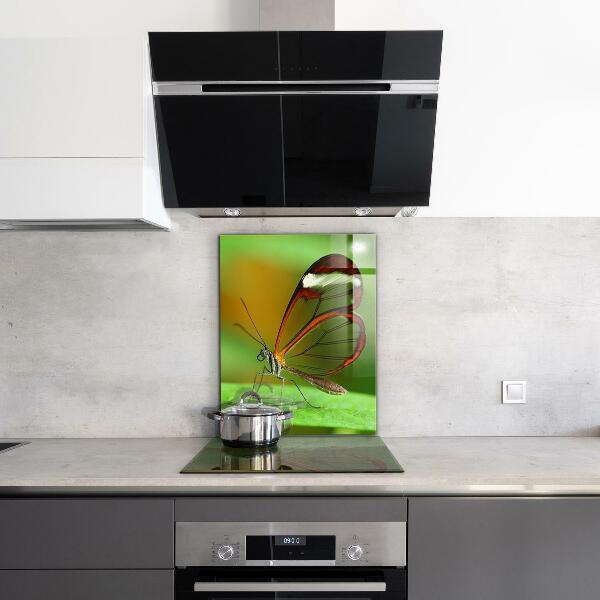 Konyhai panel Pillangó a levélen