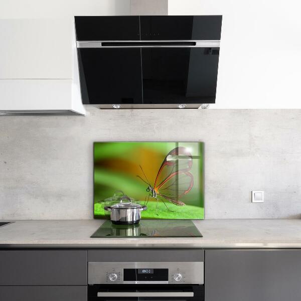 Konyhai panel Pillangó a levélen