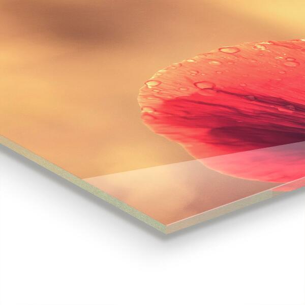 Konyhai fali panel Vintage mák növény