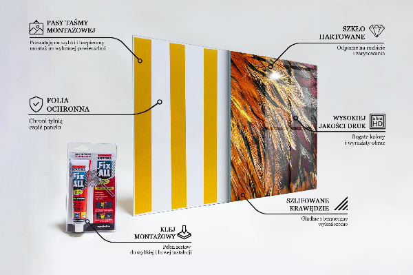 Konyhai panel Színes madár toll