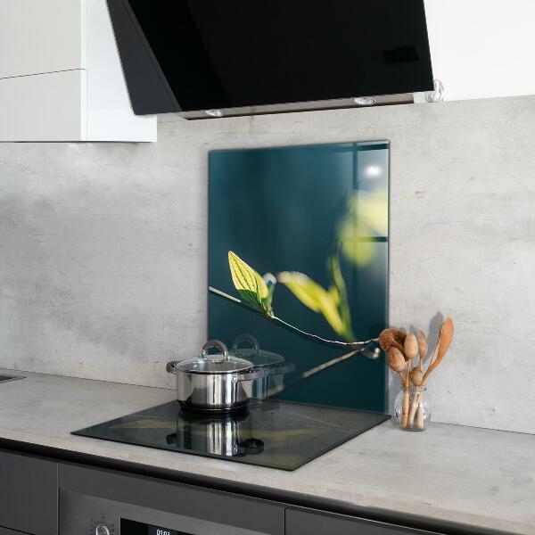 Konyhai fali panel Fényes levél az ágon