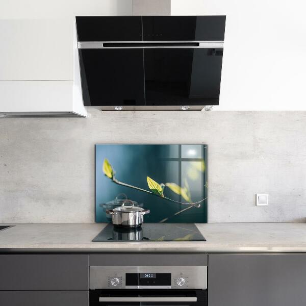 Konyhai fali panel Fényes levél az ágon